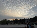 IMG_1092