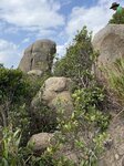 IMG_1144