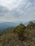 IMG_1517