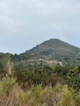 IMG_1518