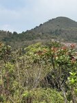 IMG_1519