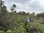 IMG_1520