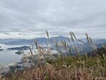 IMG_2103