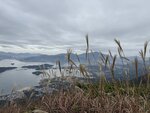 IMG_2105