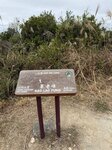 IMG_2119