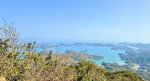 IMG_3310