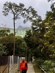 IMG_3452