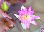 IMG_4855