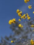 IMG_4858