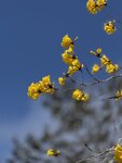 IMG_4859