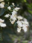IMG_5170
