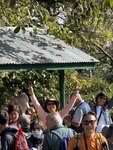 IMG_5178