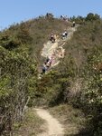 IMG_5215
