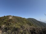 IMG_5217