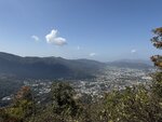 IMG_5221