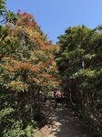 IMG_5247