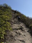 IMG_5248