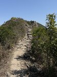IMG_5254
