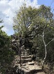 IMG_5257