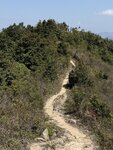 IMG_5292