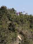 IMG_5293