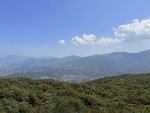 IMG_5315