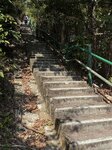 IMG_5329