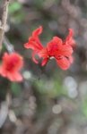IMG_5734