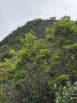 IMG_5736