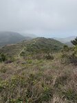 IMG_5788