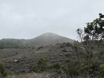 IMG_5811