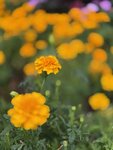 IMG_6038