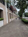 IMG_6070