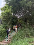 IMG_6085