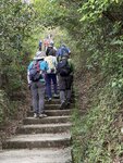 IMG_6105