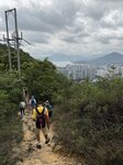 IMG_6113