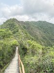 IMG_6138