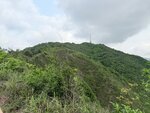 IMG_6153