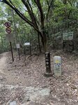 IMG_6164