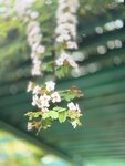 IMG_6440