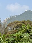 IMG_6442