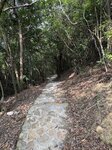 IMG_6455