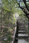 IMG_6456
