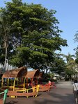 IMG_6643