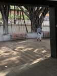 IMG_6647