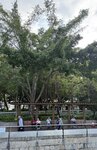 IMG_6654