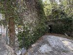 IMG_6707