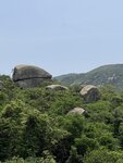 IMG_6780