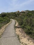 IMG_6785