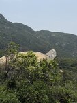IMG_6788